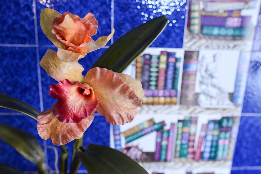 B&B Casa Feliceローマ エクステリア 写真